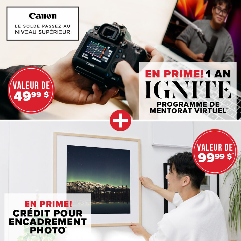 Level Up Sales Event bonus 1 year ignite membership and $99.99 custom framing and printing credit